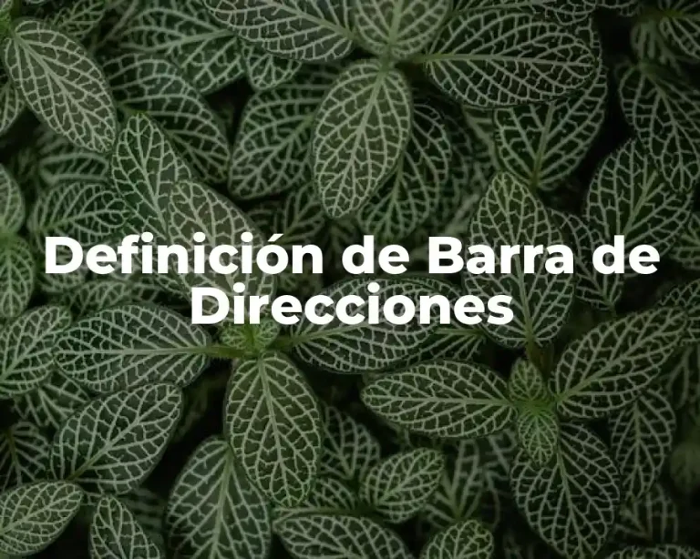 Definición de Barra de Direcciones