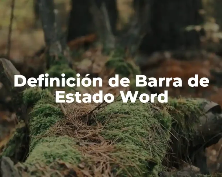 Definición de Barra de Estado Word