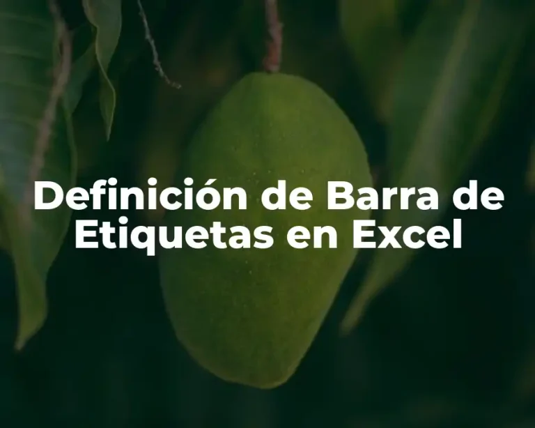 Definición de Barra de Etiquetas en Excel