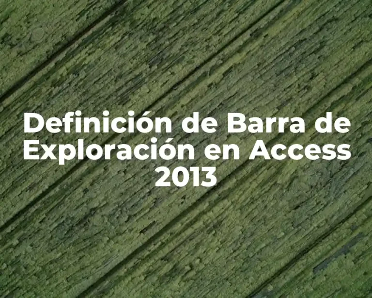 Definición de Barra de Exploración en Access 2013