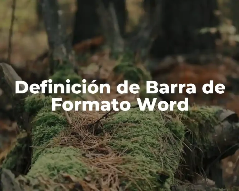 Definición de Barra de Formato Word