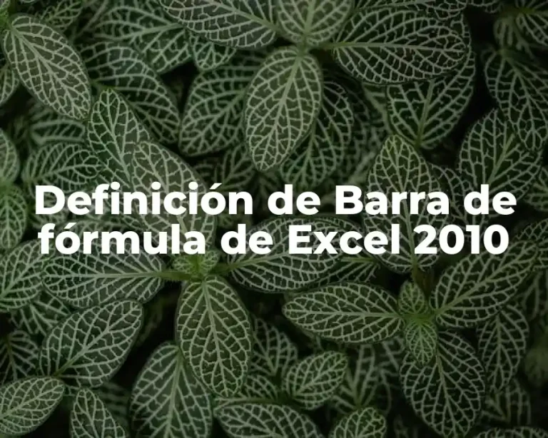 Definición de Barra de fórmula de Excel 2010