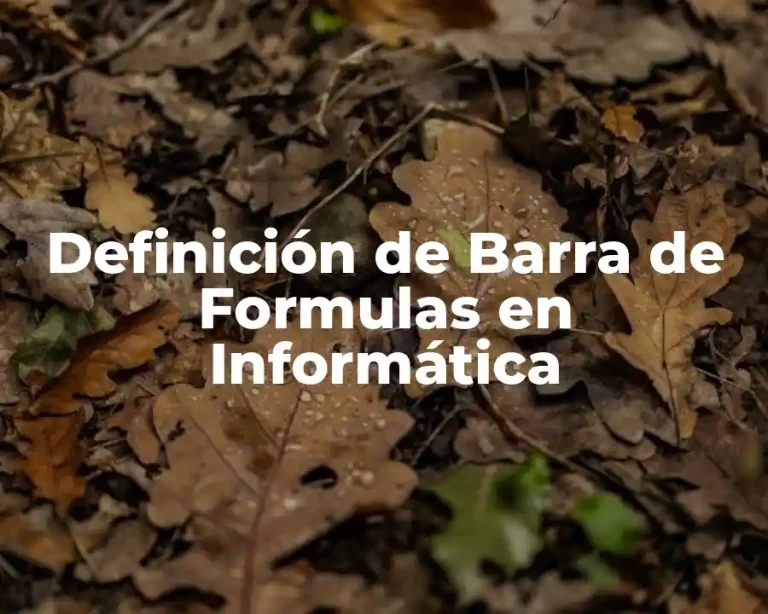 Definición de Barra de Formulas en Informática