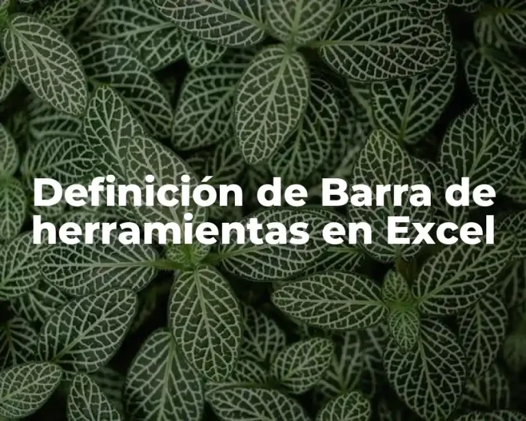 Definición de Barra de herramientas en Excel