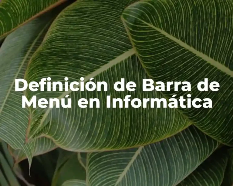 Definición de Barra de Menú en Informática