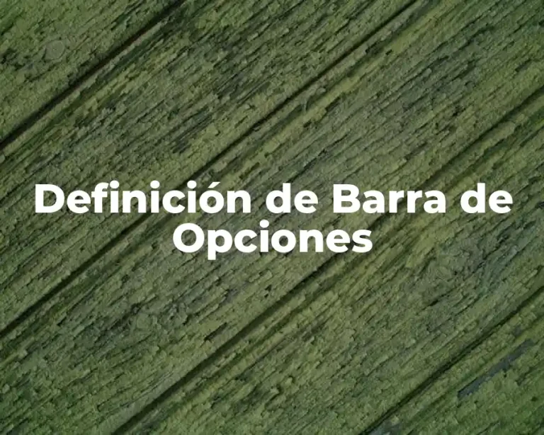 Definición de Barra de Opciones