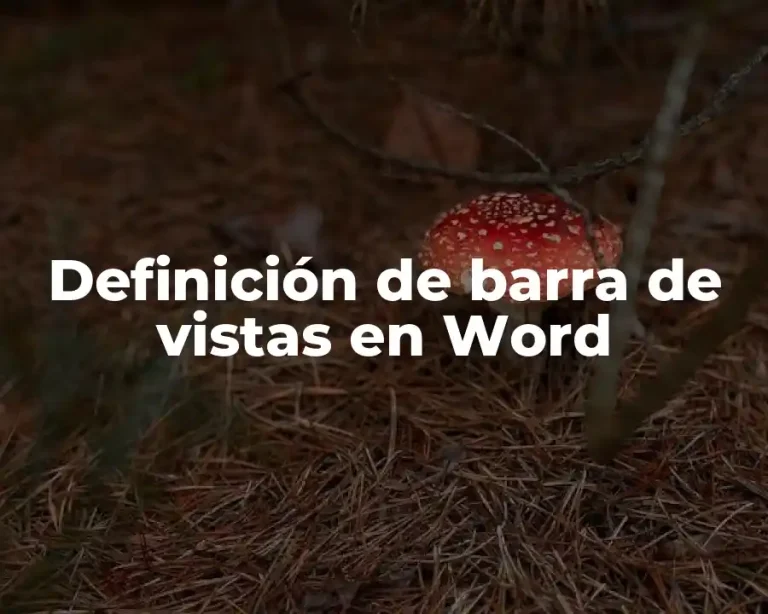 Definición de barra de vistas en Word