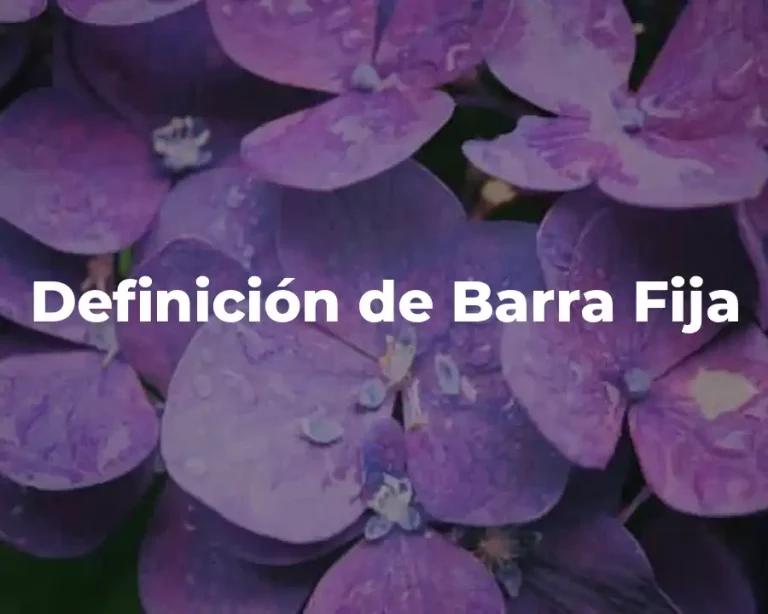 Definición de Barra Fija