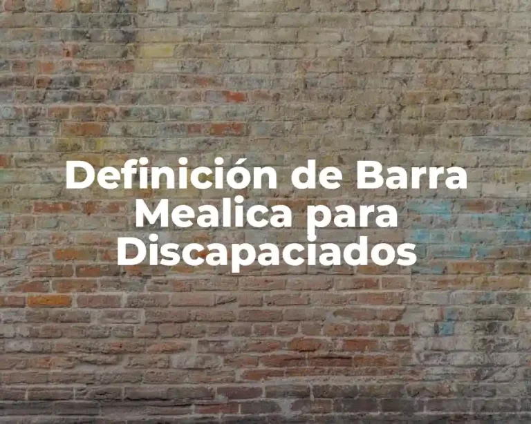 Definición de Barra Mealica para Discapaciados