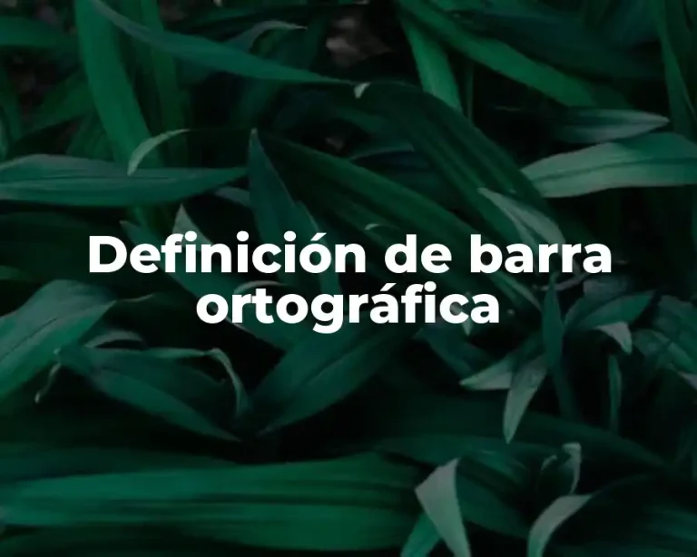 Definición de barra ortográfica