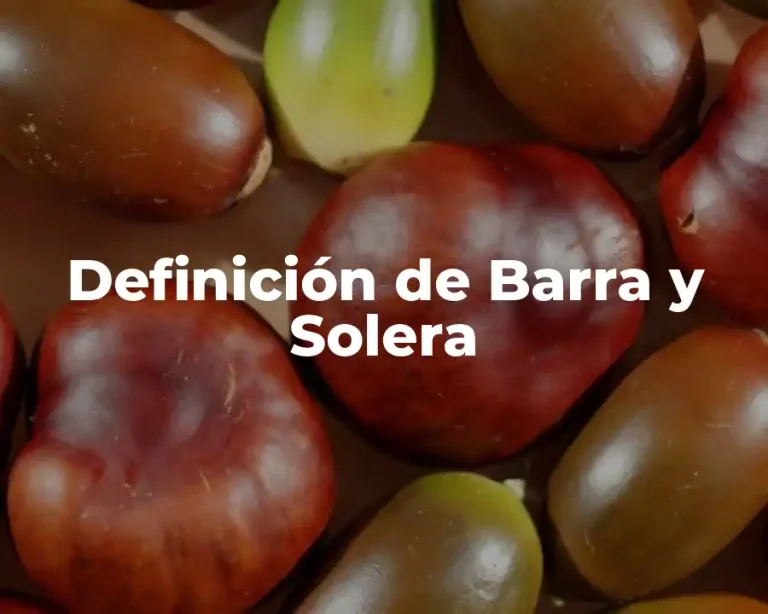 Definición de Barra y Solera