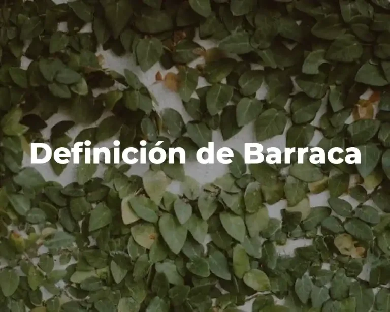 Definición de Barraca