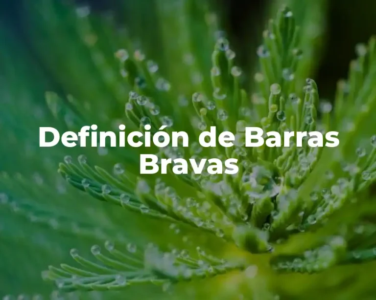 Definición de Barras Bravas