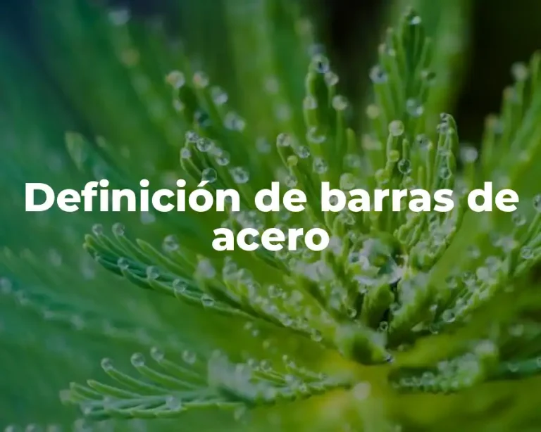 Definición de barras de acero