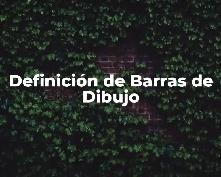 Definición de Barras de Dibujo