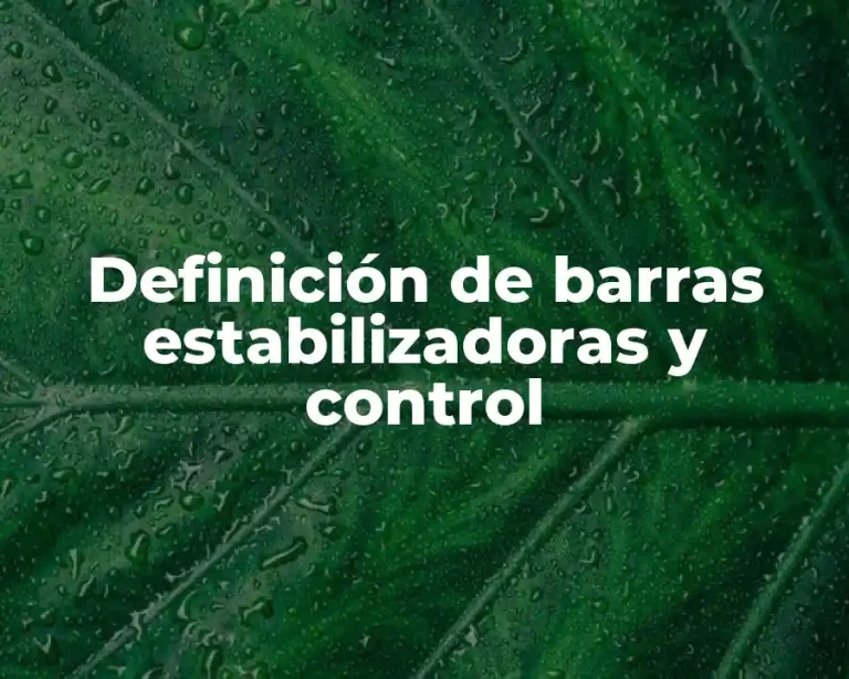 Definición de barras estabilizadoras y control