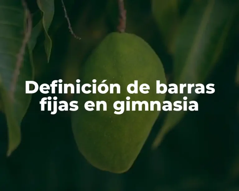 Definición de barras fijas en gimnasia