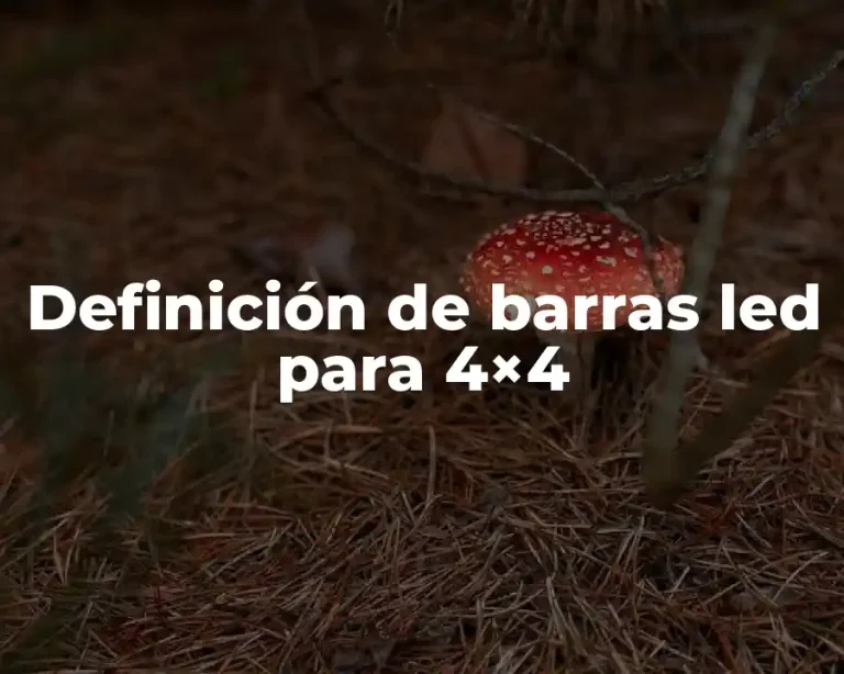 Definición de barras led para 4×4