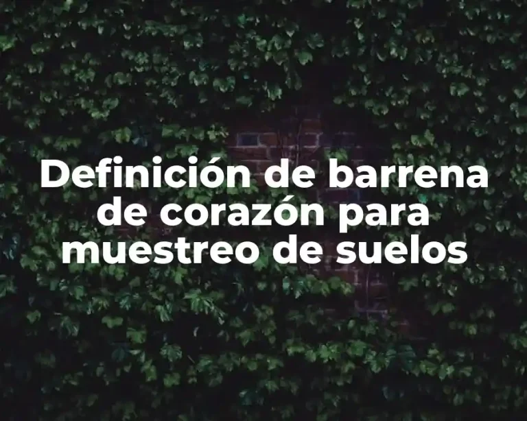 Definición de barrena de corazón para muestreo de suelos