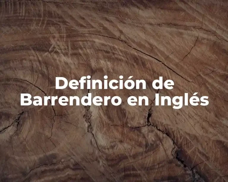 Definición de Barrendero en Inglés