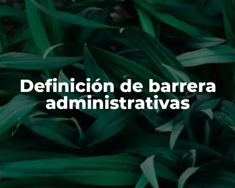 Definición de barrera administrativas
