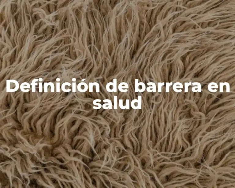 Definición de barrera en salud