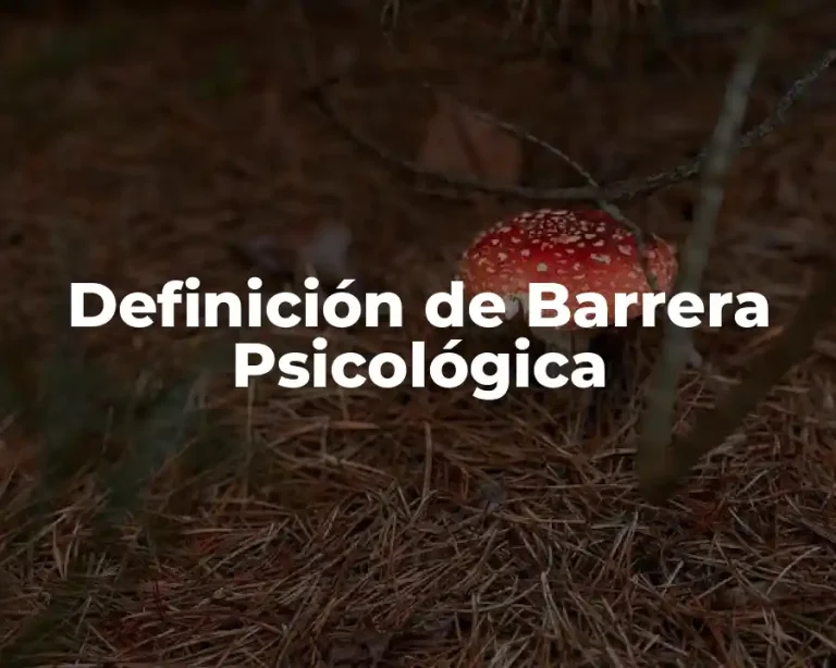 Definición de Barrera Psicológica