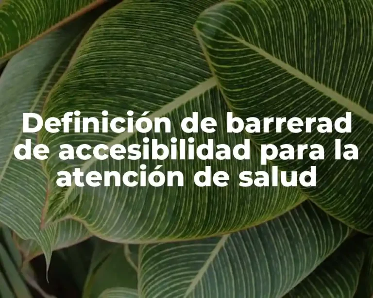 Definición de barrerad de accesibilidad para la atención de salud