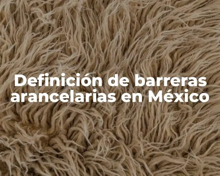 Definición de barreras arancelarias en México