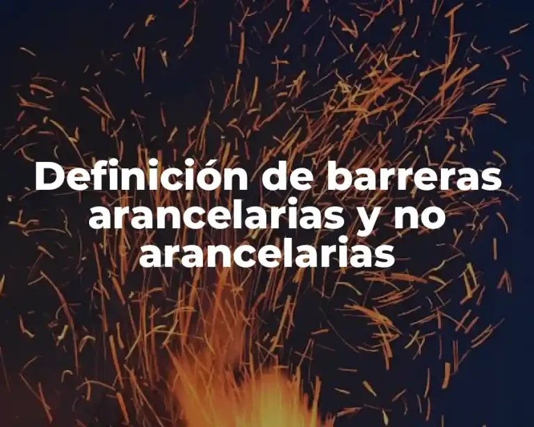 Definición de barreras arancelarias y no arancelarias