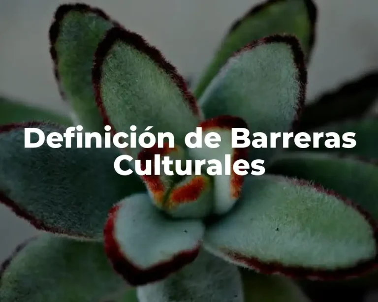 Definición de Barreras Culturales