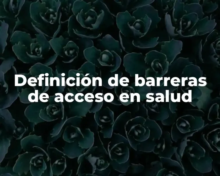 Definición de barreras de acceso en salud