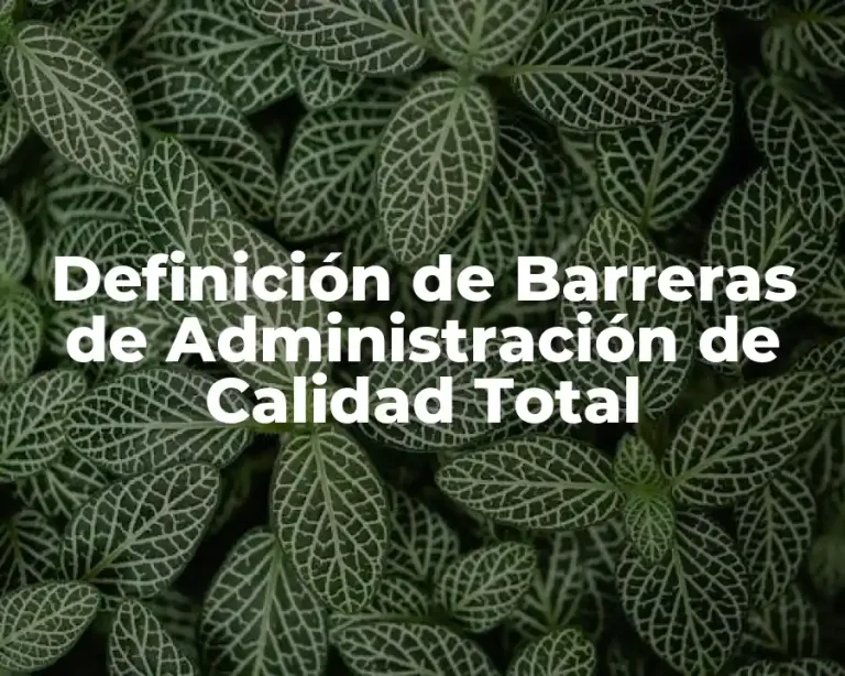 Definición de Barreras de Administración de Calidad Total