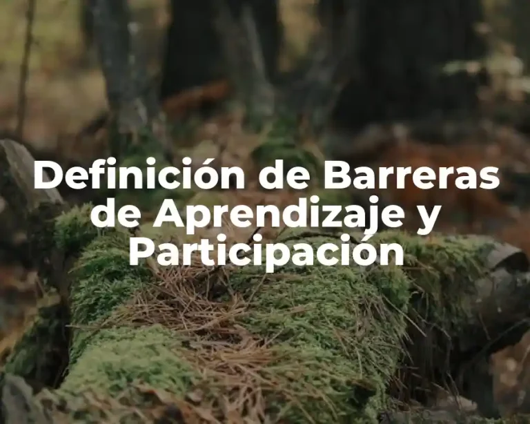 Definición de Barreras de Aprendizaje y Participación
