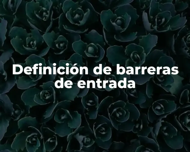 Definición de barreras de entrada