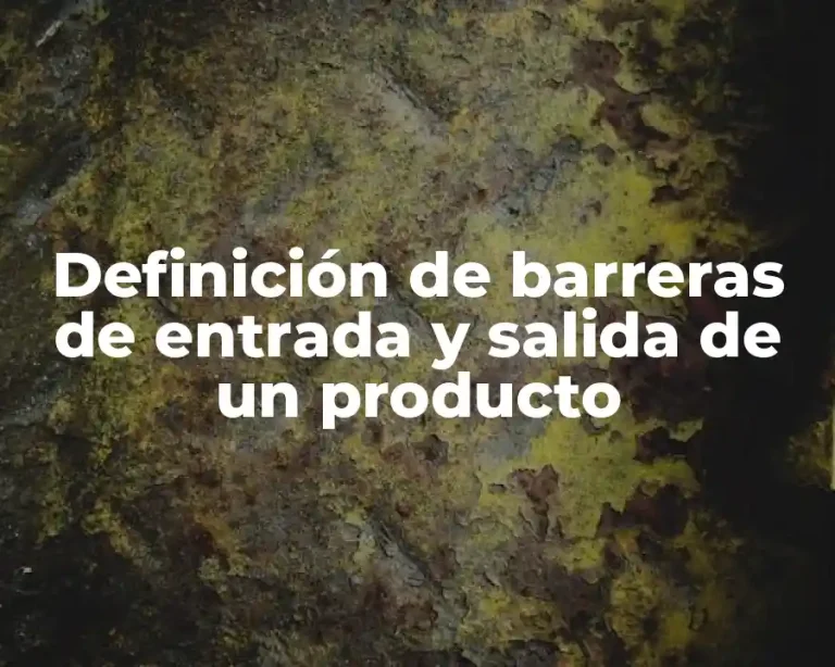 Definición de barreras de entrada y salida de un producto