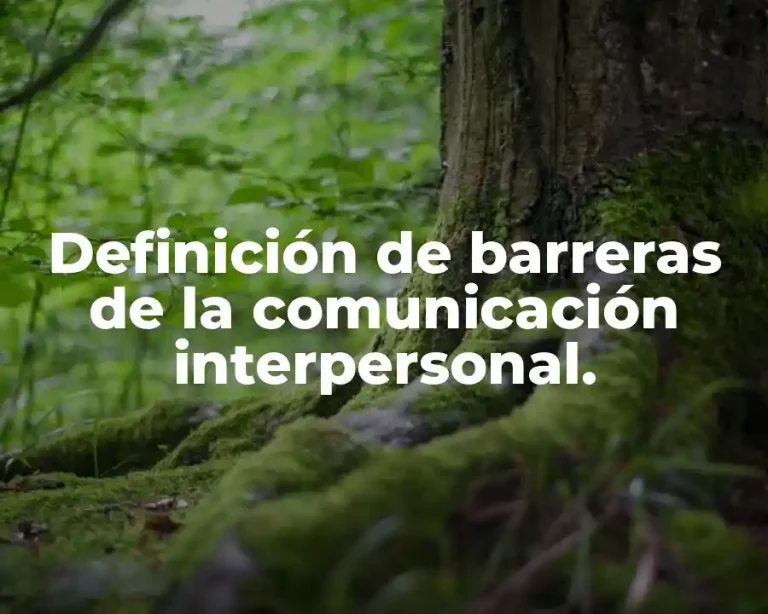 Definición de barreras de la comunicación interpersonal.