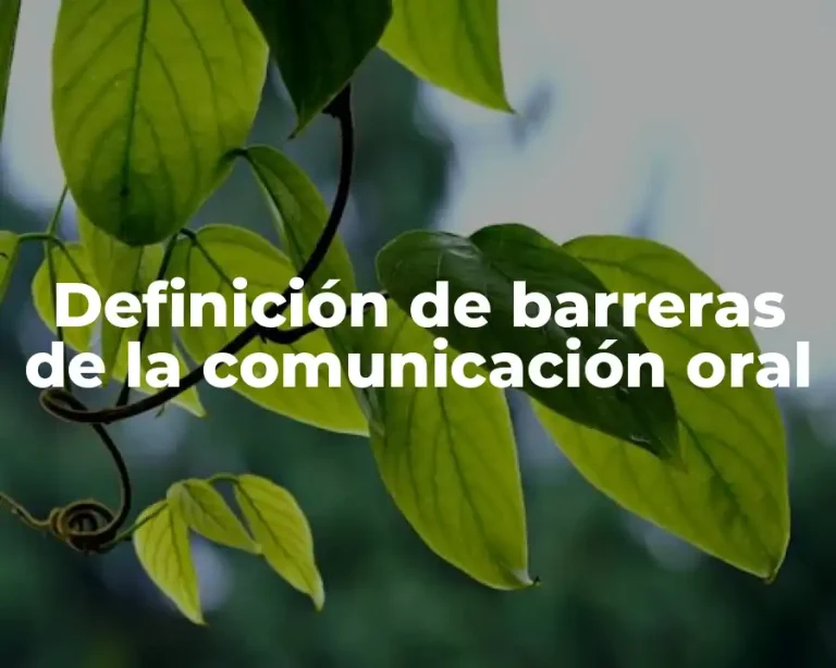 Definición de barreras de la comunicación oral