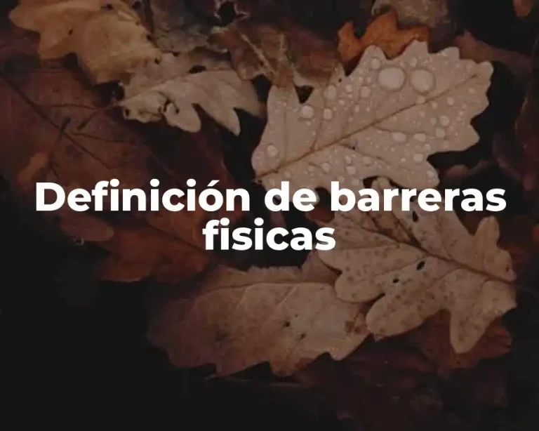 Definición de barreras fisicas