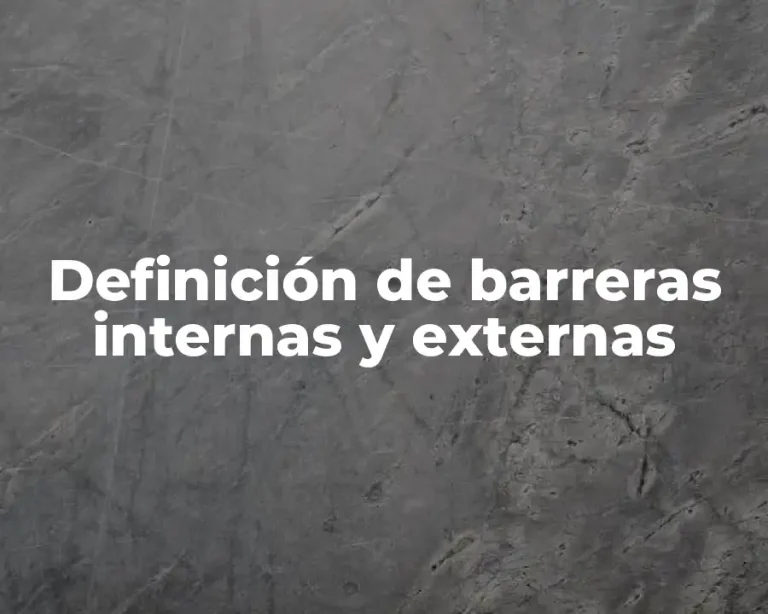 Definición de barreras internas y externas