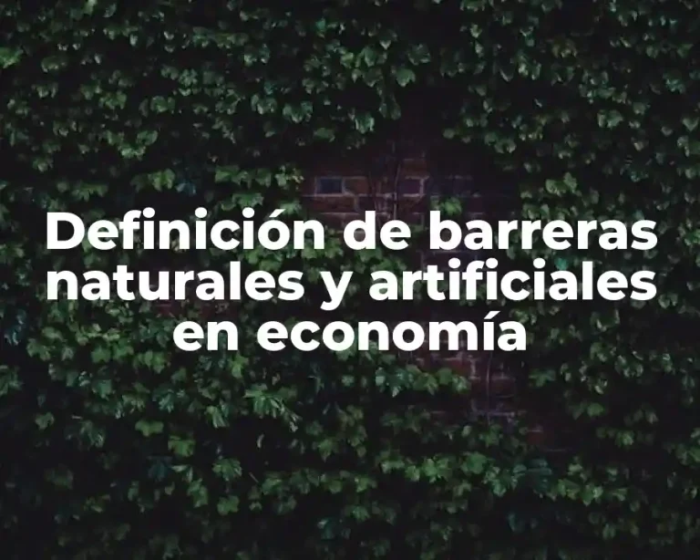 Definición de barreras naturales y artificiales en economía