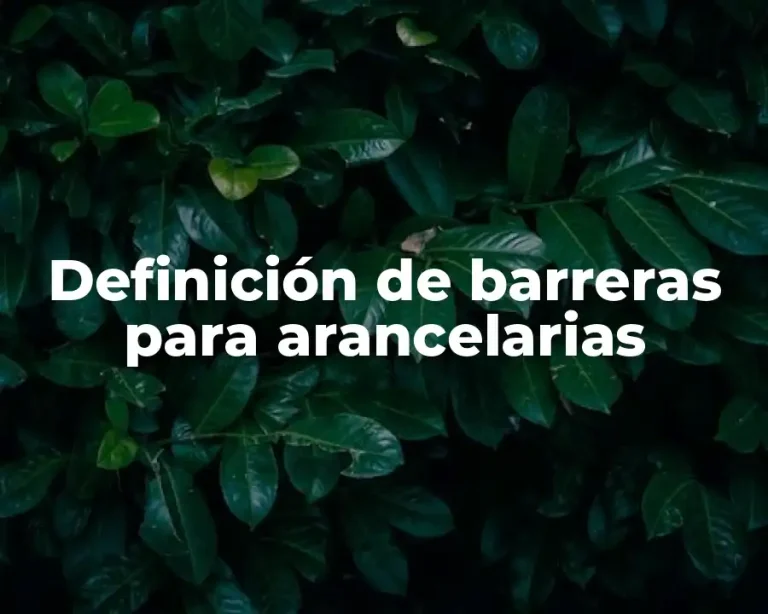 Definición de barreras para arancelarias