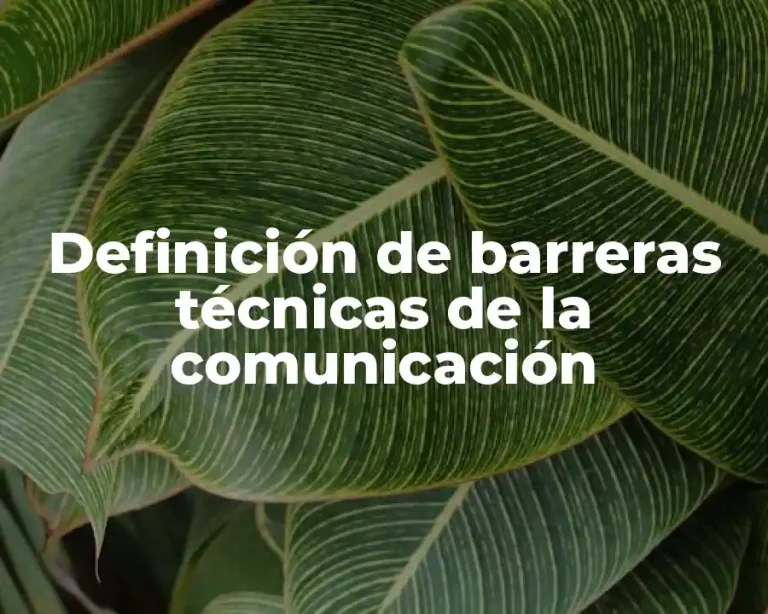 Definición de barreras técnicas de la comunicación