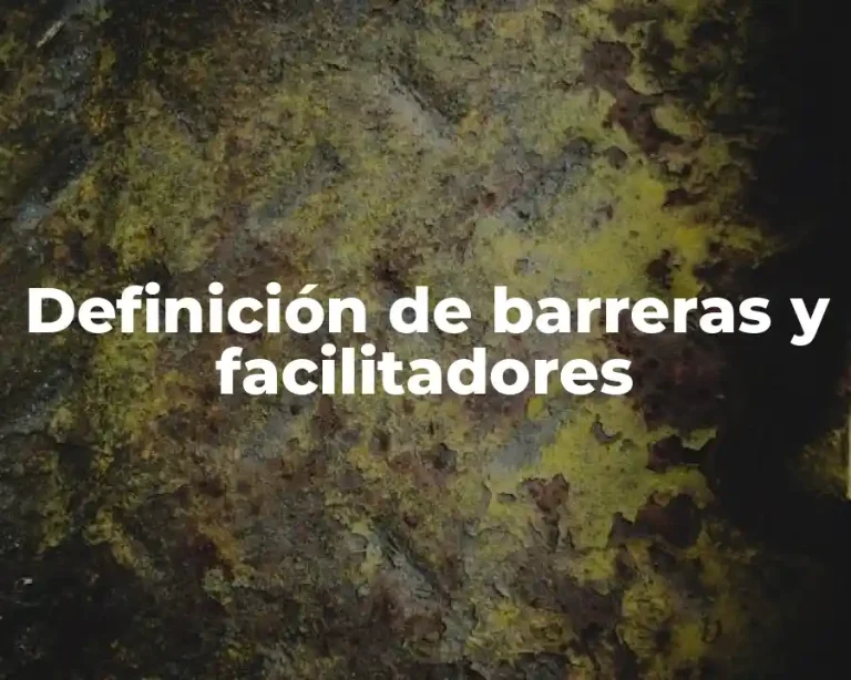 Definición de barreras y facilitadores