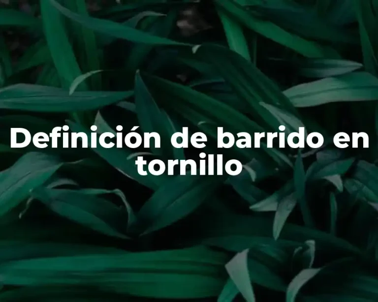 Definición de barrido en tornillo