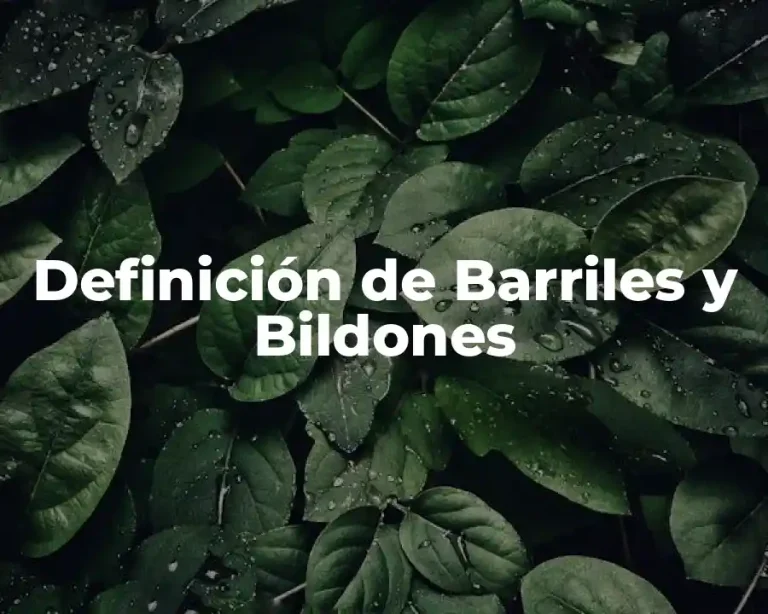 Definición de Barriles y Bildones