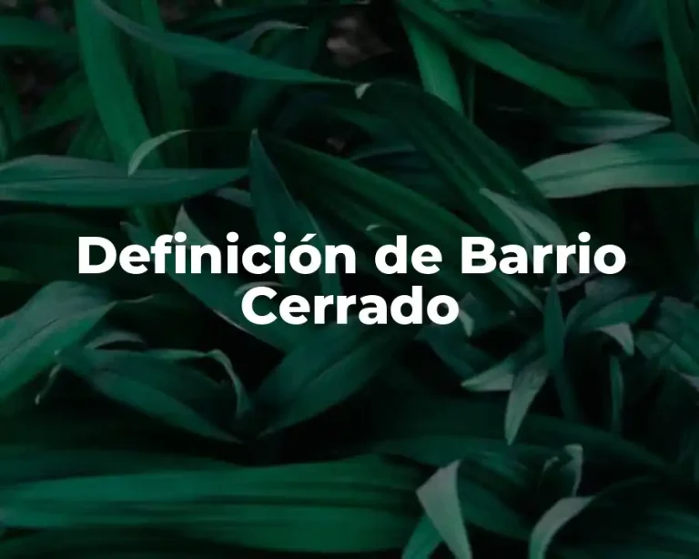 Definición de Barrio Cerrado