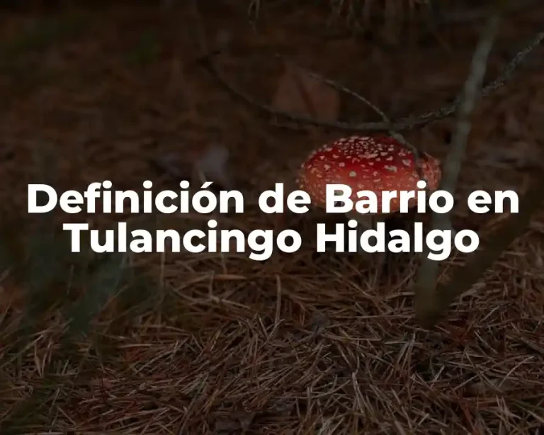 Definición de Barrio en Tulancingo Hidalgo