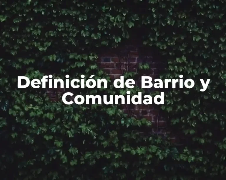 Definición de Barrio y Comunidad