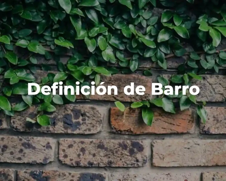 Definición de Barro